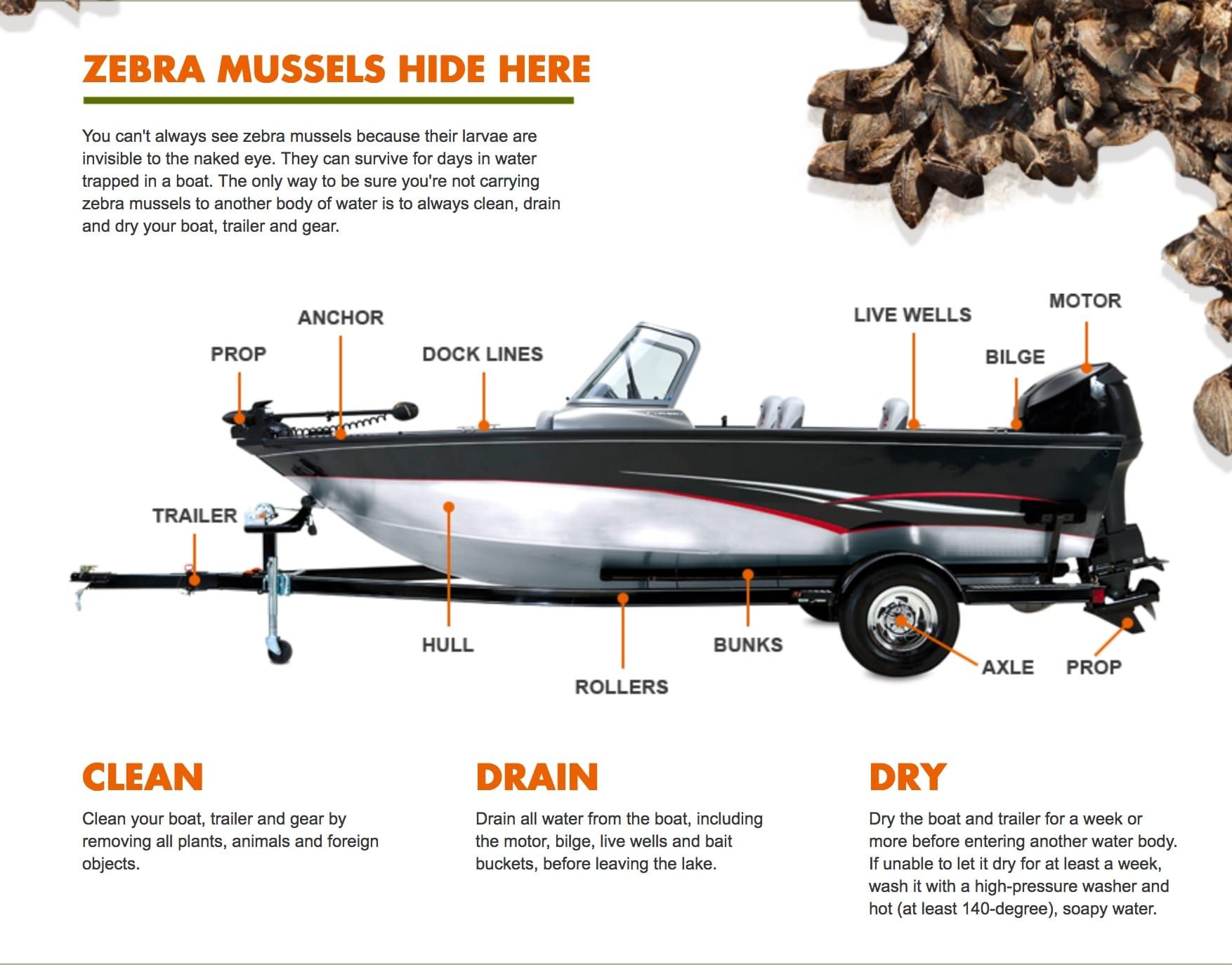 Boat Clean Drain Dry